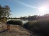  a lovely sunny morning at the dig tree site