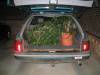  2005_06_17-car-plants.jpg