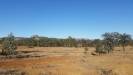  near carnarvon gorge