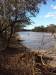  paroo river in currawinya np