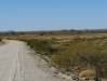  east pilbara towards marble bar