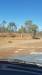  clothed termite mounds in the nt