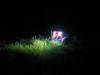  2007_10_03-wk-night-grass2.jpg 