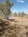  a windy, remote, beautiful camp on the mayne river