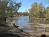  moonie river at nindygully