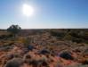  towards yulara