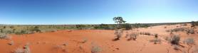  dunes in welford np