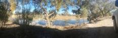  camp on the cooper creek near windorah