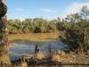  barcoo river near isisford